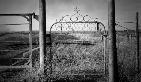 Sharon Waldron Ezoazjvdl8 Unsplash