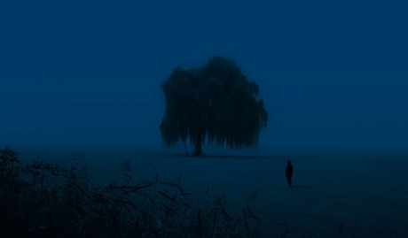 Withdarkshades L4u Qzuvggy Unsplash